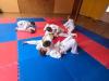 IMG-20260819-WA0071