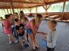 IMG-20250820-WA0120