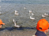 20200826_111053-Copy
