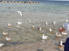 20200826_111100-Copy