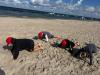 IMG-20260820-WA0047