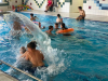 IMG-20230823-WA0235