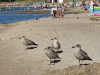IMG-20230824-WA0095