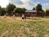 20200823_164730-Copy