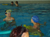 DSC01133-Copy