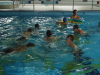 DSC01143-Copy