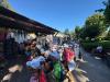 IMG-20250819-WA0337