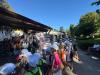 IMG-20250819-WA0339