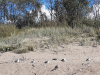 20200825_153412-Copy