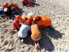 20200825_161312-Copy