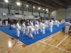 DSC00195-Copy