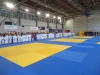 DSC00199-Copy
