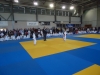 DSC00204-Copy