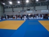 DSC00206-Copy