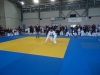 DSC00208-Copy