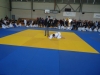 DSC00211-Copy