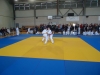 DSC00213-Copy