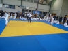 DSC00219-Copy