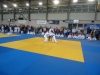 DSC00222-Copy