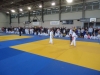 DSC00223-Copy