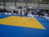 DSC00230-Copy