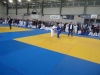 DSC00234-Copy