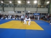 DSC00240-Copy