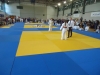 DSC00249-Copy