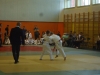DSC00273-Copy