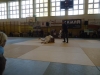 DSC00290-Copy