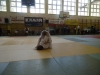 DSC00298-Copy