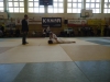 DSC00302-Copy