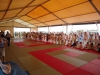 DSC00646-Copy