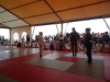 DSC00653-Copy