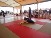 DSC00654-Copy