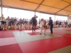DSC00658-Copy