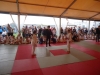 DSC00663-Copy