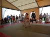 DSC00665-Copy