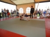 DSC00667-Copy