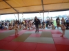 DSC00672-Copy
