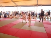 DSC00673-Copy