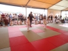 DSC00676-Copy