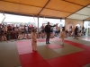 DSC00678-Copy