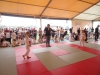 DSC00679-Copy