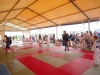 DSC00682-Copy