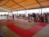 DSC00684-Copy
