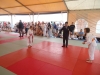 DSC00690-Copy