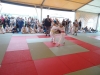 DSC00693-Copy
