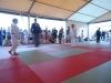DSC00695-Copy