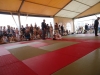DSC00697-Copy